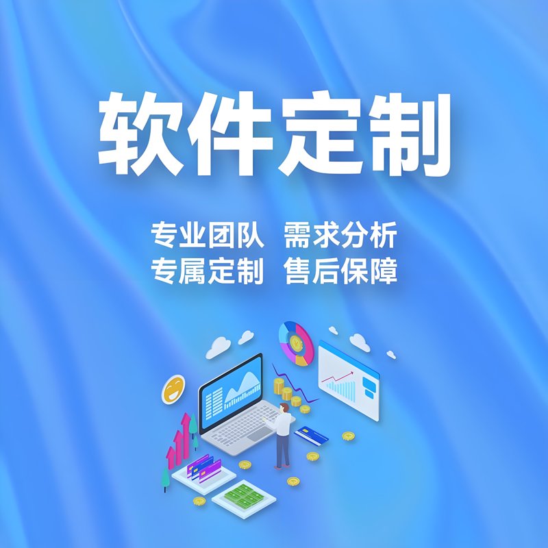 揭秘软件定制开发——打造专属于您的高效工具！